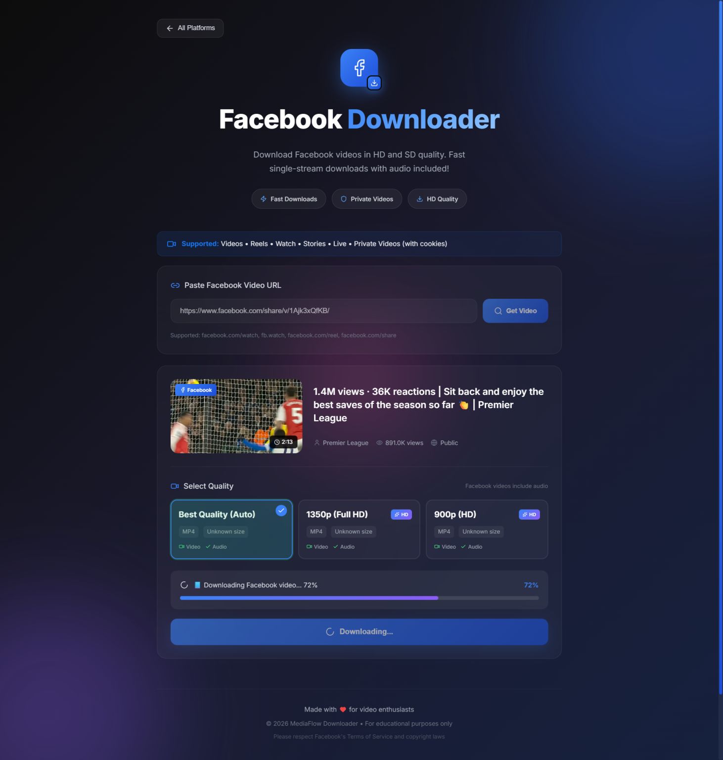 MediaFlow Screenshot 6